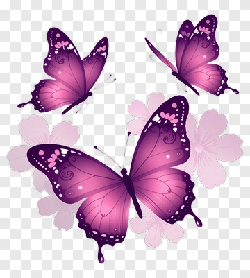Purple And Pink Butterflies PNG