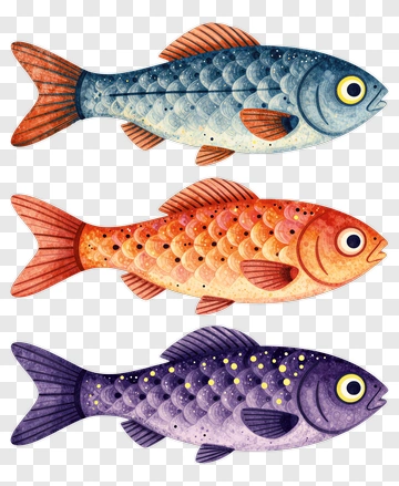Three Colorful Fish Illustration PNG