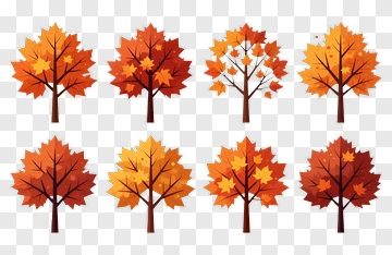 Autumn Trees With Colorful Leaves PNG