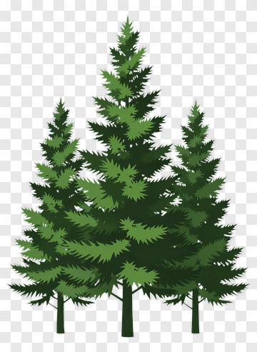 Pine Tree PNG
