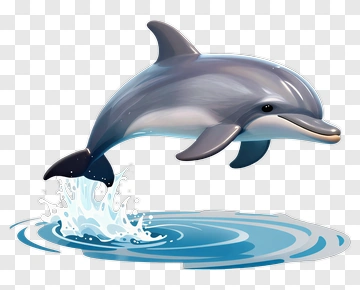 Playful Dolphin Jumping Out Of Water PNG
