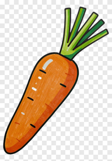 Hand-drawn Carrot Illustration PNG