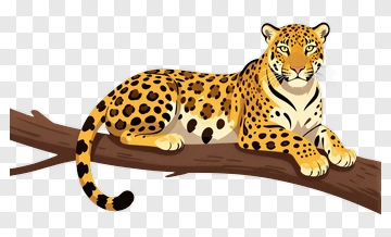Leopard On Tree Branch PNG