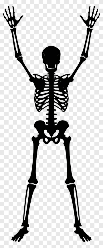 Skeleton With Arms Raised PNG
