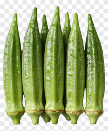 Fresh Okra PNG