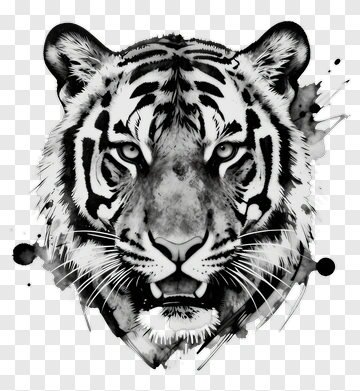 Tiger Head Watercolor Illustration PNG