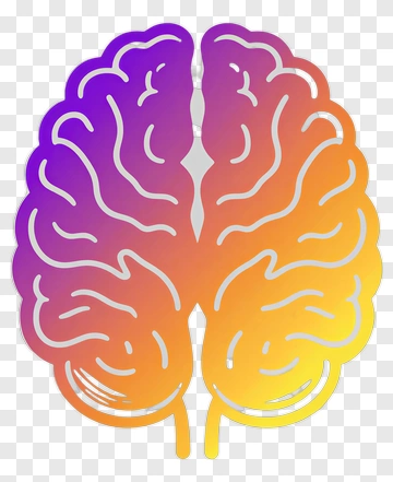 Brain With Gradient Color PNG