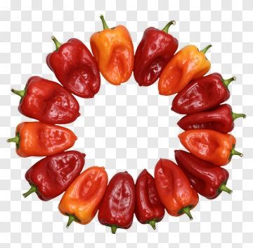 Circular Arrangement Of Peppers PNG