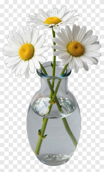 Three Daisy Flowers In A Glass Vase PNG