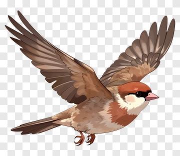 Flying Sparrow PNG