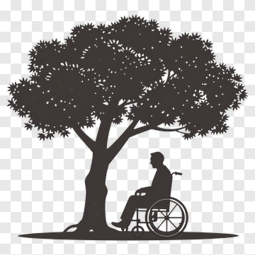 Person In Wheelchair Under Tree PNG