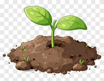 Sprout Growing From Soil PNG