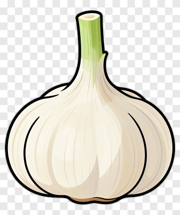 Garlic PNG