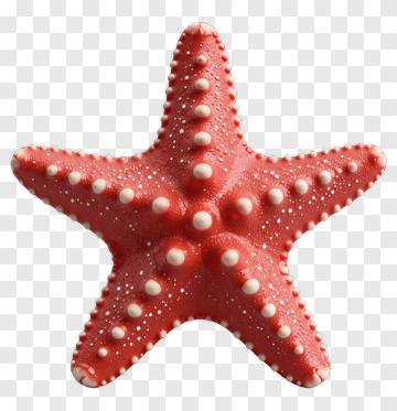 Red Starfish With White Spots PNG