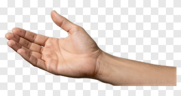 Open Hand PNG