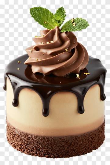 Chocolate Cake With Mint Garnish PNG