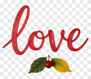 Hand-drawn Love With Berry And Leaf PNG