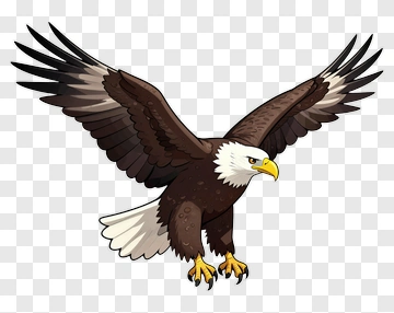 Cartoon Eagle In Flight PNG