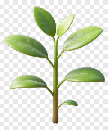 Young Plant Growing From Cracked Soil PNG