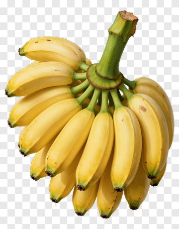 Fresh Banana Cluster PNG