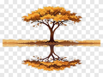 Tree With Reflection PNG