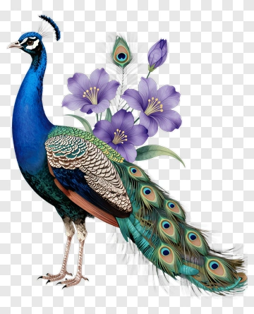 Blue Peacock With Purple Flowers PNG
