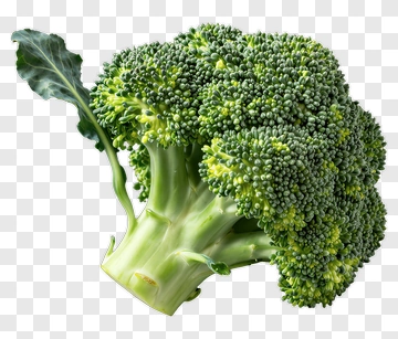 Fresh Broccoli With Leaf PNG