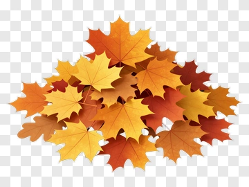 Fall Maple Leaves PNG