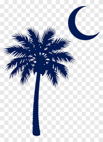 Palm Tree And Crescent Moon PNG