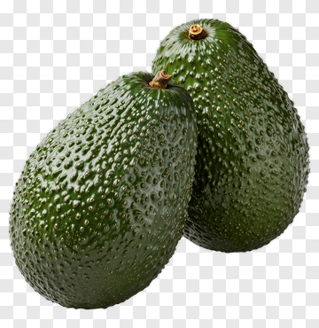 Fresh Avocado PNG