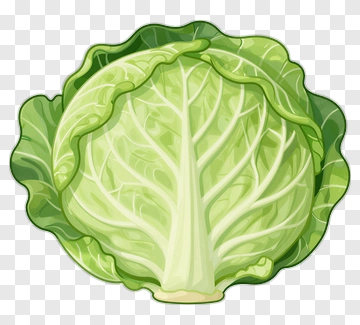 Cartoon Cabbage PNG