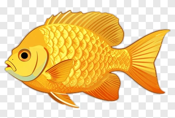 Goldfish PNG