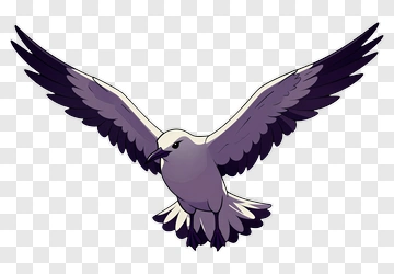 Seagull Flying In Sunset PNG