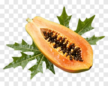 Fresh Papaya With Leaves PNG