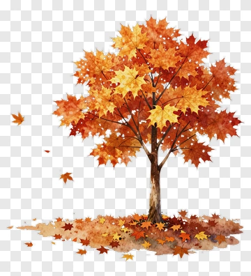 Autumn Maple Tree With Falling Leaves PNG