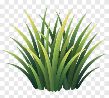 Flat Green And Yellow Grass PNG