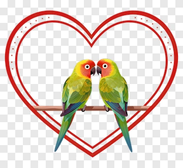 Two Parrots In A Heart PNG