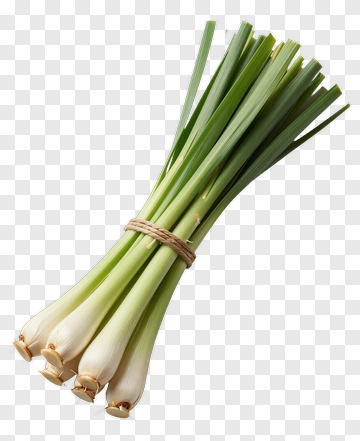 Fresh Leek Bundle PNG