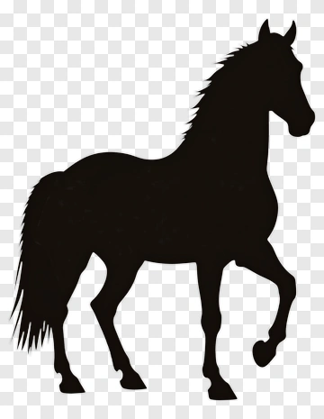 Black Horse Silhouette PNG