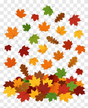 Fall Leaves In Vibrant Colors PNG