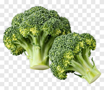 Fresh Broccoli PNG