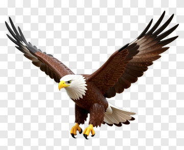 American Eagle In Flight PNG