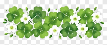 Green Clover And White Flower PNG
