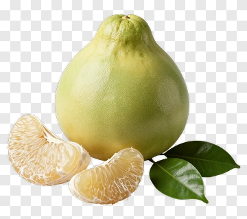 Fresh Pomelo With Leaf And Segment PNG