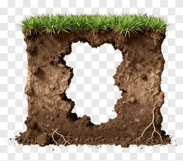 Soil Slice Revealing Green Landscape PNG