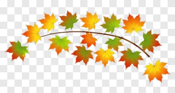 Autumn Maple Branch With Colorful Leaves PNG