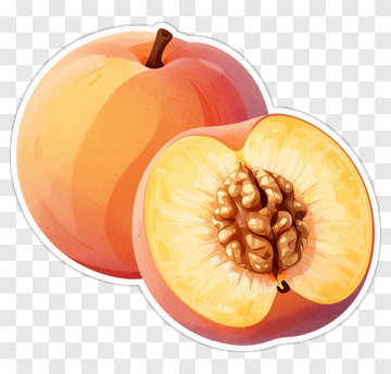 Fresh Peach With Pit PNG