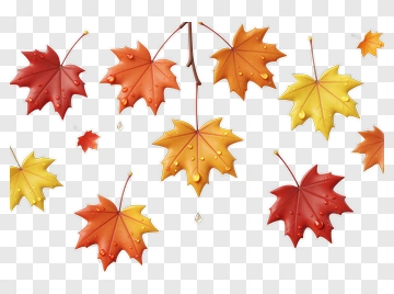 Fall Leaves With Water Droplets PNG