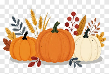 Autumn Harvest Pumpkin Arrangement PNG