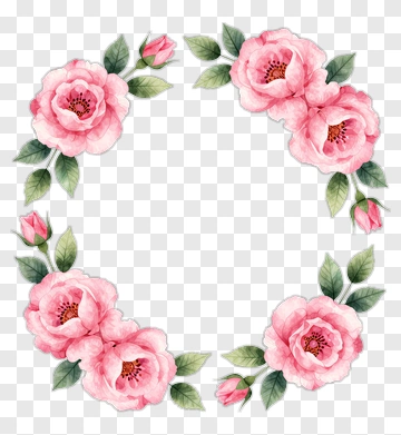 Pink Rose Floral Frame PNG